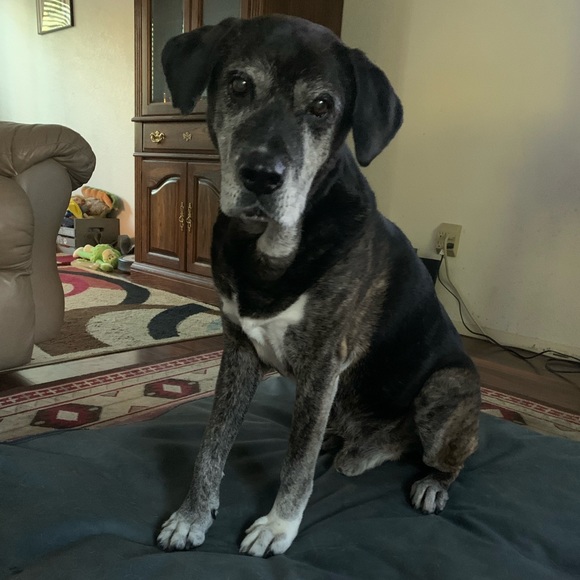 Meet your Posher, Taylor - Picture 2 of 5